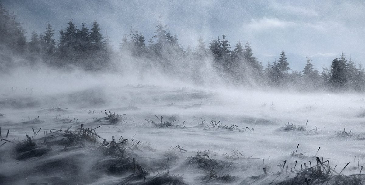 Viscol puternic în Munţii Apuseni: Cod roșu de avertizare meteo pentru zona de munte a județului Alba Vântul devastator și ninsorile abundente au pus din nou sub semnul întrebării siguranța locuitorilor și a turiștilor din zonele montane ale județului Alba