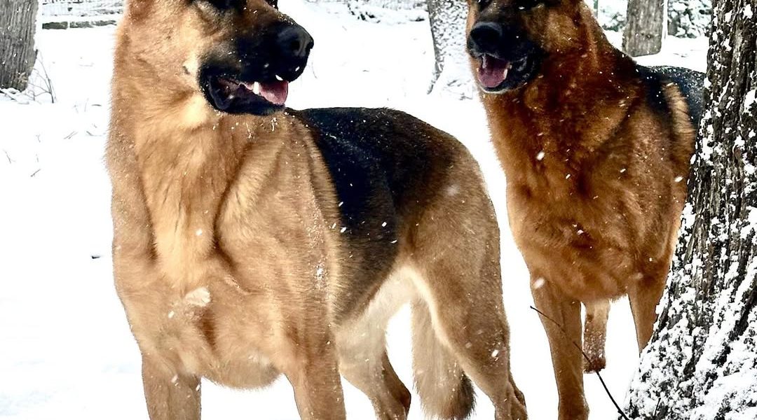 614862386_1473170691474745_5015169552524529986_n.jpg - JurnalDirect