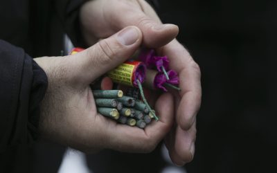 ID129394_INQUAM_Photos_Octav_Ganea.jpg - JurnalDirect