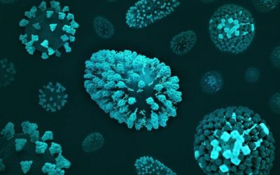 admin-ajax-5-1.jpeg - JurnalDirect