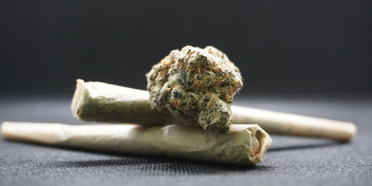 canabis-marijuana-bumps-8054140_1920.jpg - JurnalDirect