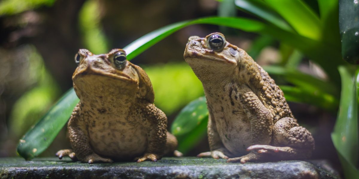 dreamstime_xl_123690325.jpg - JurnalDirect