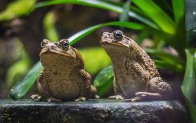 dreamstime_xl_123690325.jpg - JurnalDirect