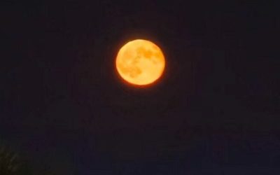 luna-4-e1767379918868.jpg - JurnalDirect