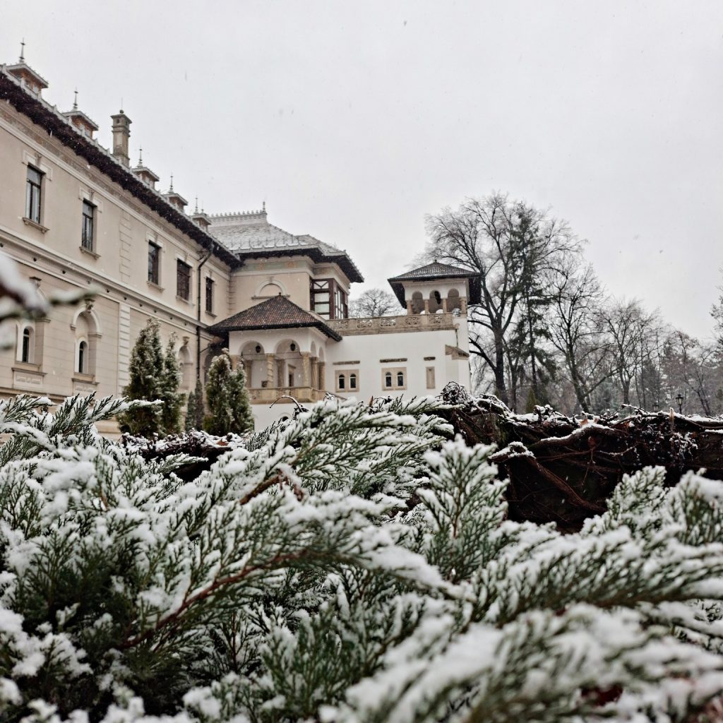 Muzeul Național Cotroceni deschide gratuit porțile pentru vizitatori în ziua dedicată Zilei Culturii Naționale, reafirmând rolul său de reprezentant al patrimoniului cultural și arhitectural al țării