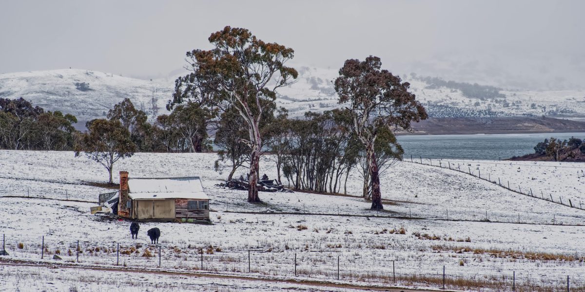 pexels-mark-thomas-2149938474-30979871.jpg - JurnalDirect