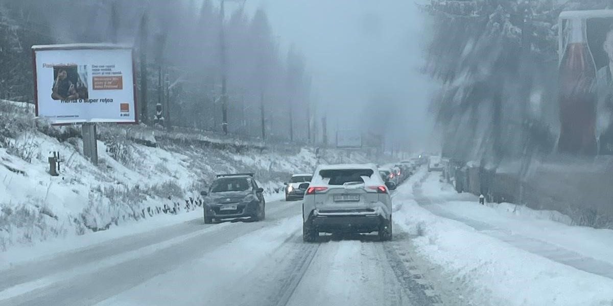 poza-art.jpeg - JurnalDirect