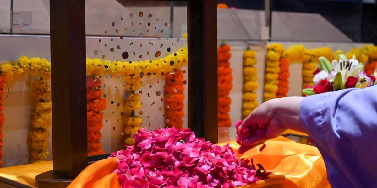 profimedia-1026803337.jpg - JurnalDirect