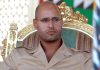 Saif_al-Islam_Kadhafi.jpg - JurnalDirect
