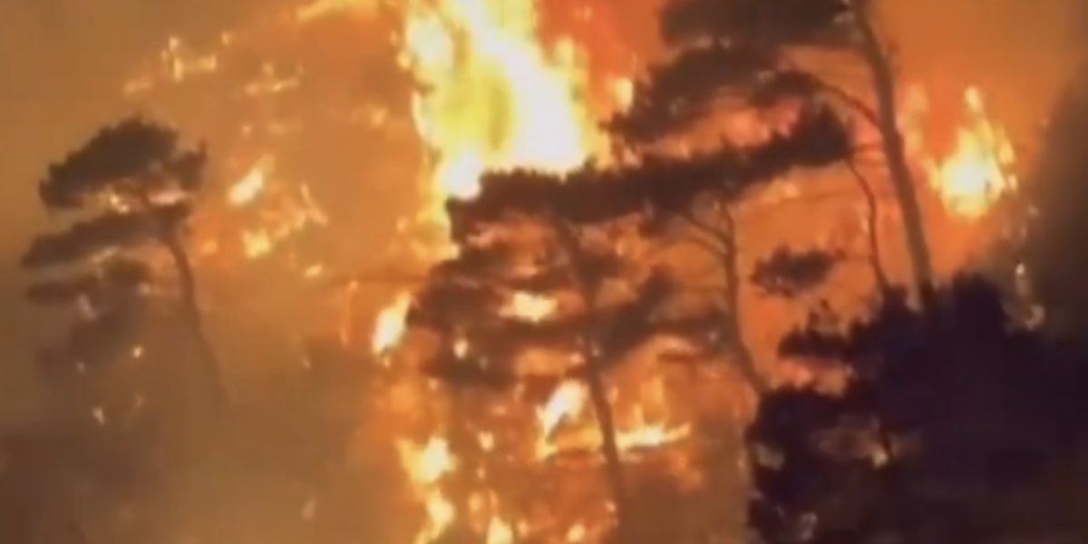 Screenshot-2024-07-10-at-22.52.14.png - JurnalDirect