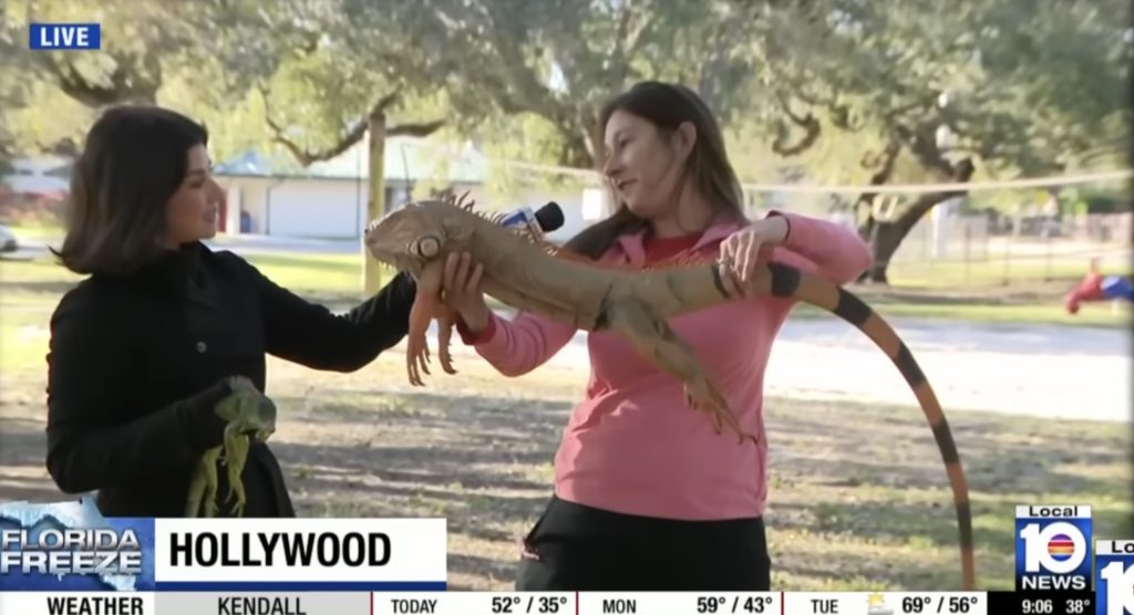 Furtuna de iarnă lovește sud-estul Statelor Unite, provocând haos și perturbări majore Sud-estul Statelor Unite se confruntă, în acest weekend, cu una dintre cele mai severe furtuni de iarnă din ultimii ani, o situație care a paralizat activitatea în multe state și a adus condiții neașteptate pentru locuitorii din regiune