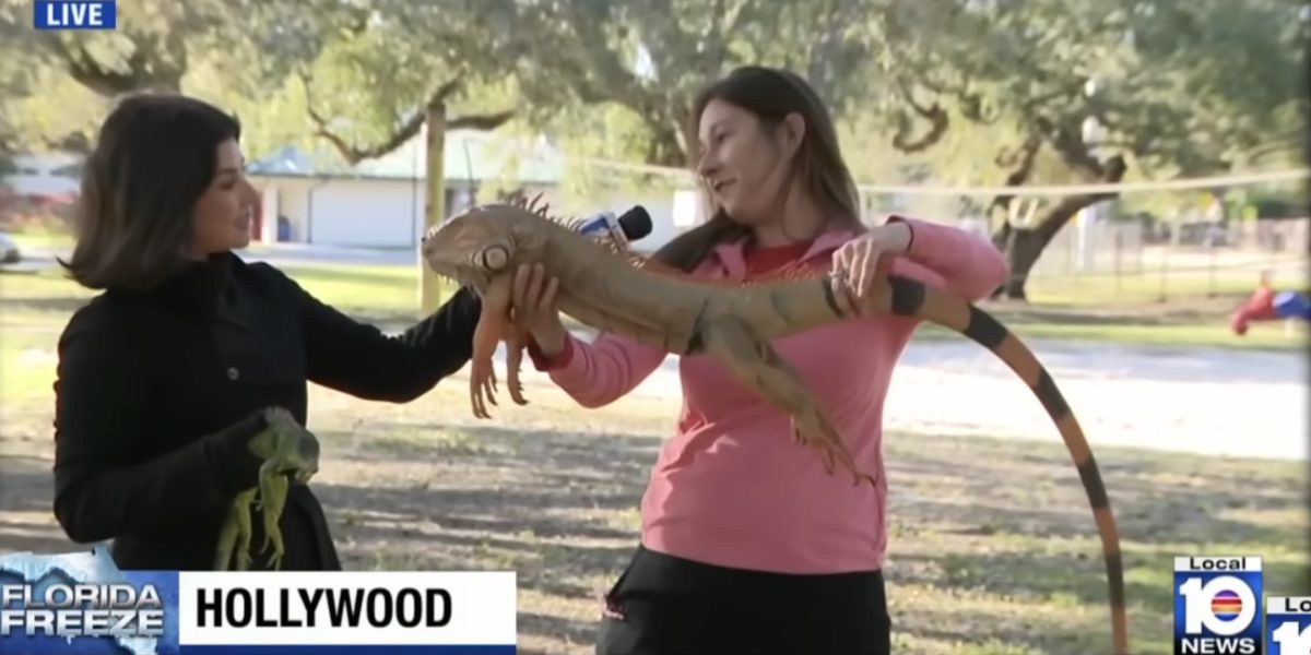 Screenshot-2026-02-02-at-10.29.50.jpg - JurnalDirect