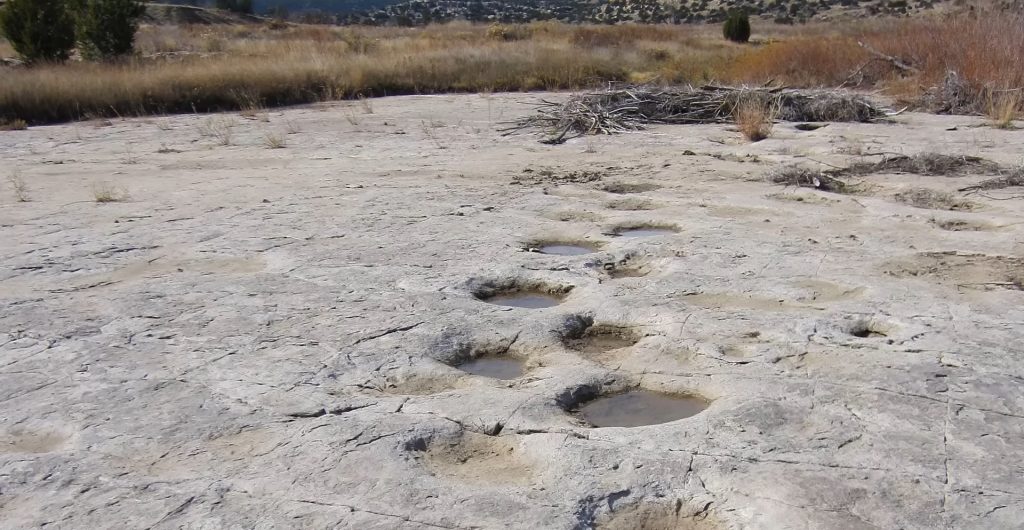 Un fenomen fascinant în lumea paleontologiei: urmele de pași ale dinozaurilor dezvăluite recent În lumea fascinantă a științei, urmele de pași ale dinozaurilor reprezintă o fereastră unică către trecut