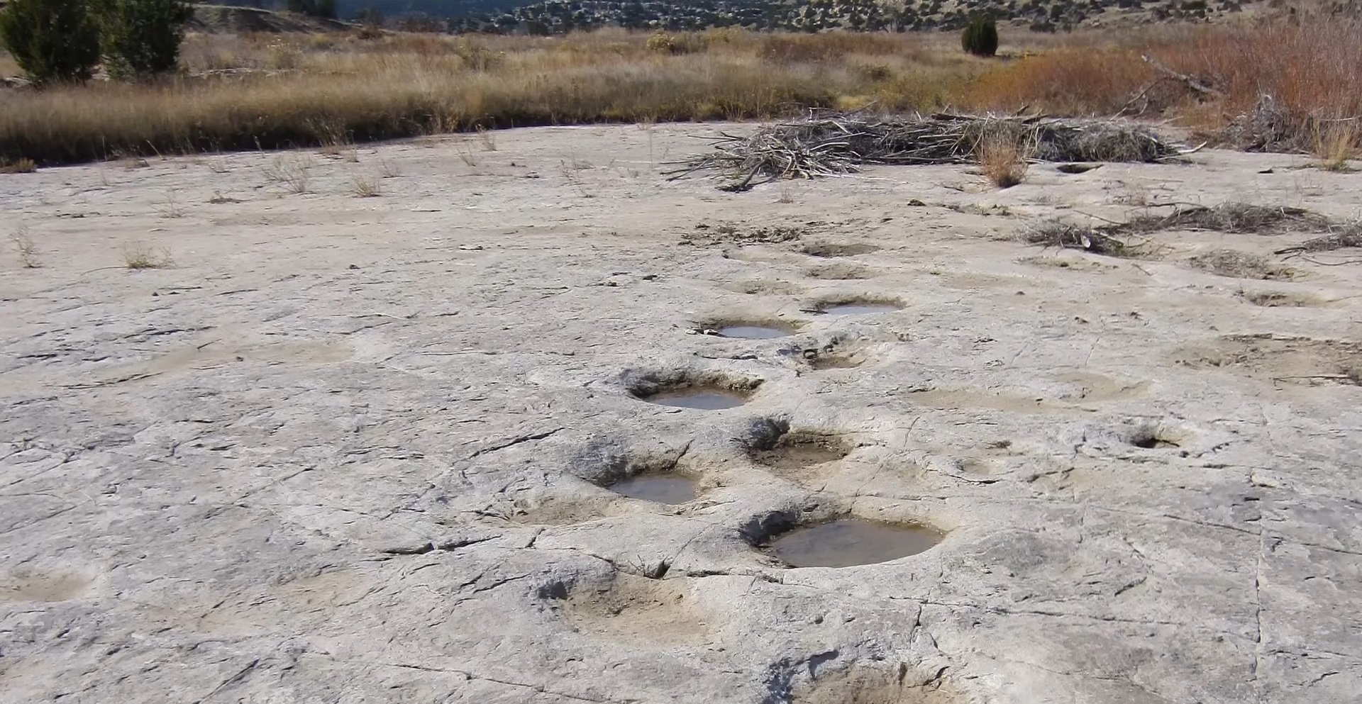 Un fenomen fascinant în lumea paleontologiei: urmele de pași ale dinozaurilor dezvăluite recent În lumea fascinantă a științei, urmele de pași ale dinozaurilor reprezintă o fereastră unică către trecut