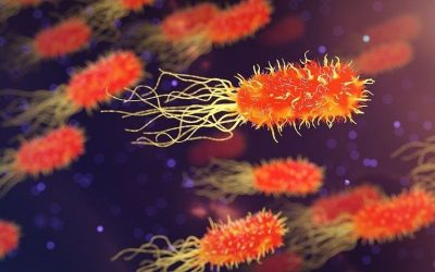 Avertisment de urgență în zona Curtea de Argeș: bacterie Clostridium perfringens în rețeaua de apă Autoritățile din județul Argeș au emis, luni seară, un mesaj de avertizare pentru localnicii din zona Curtea de Argeș, după ce testele de control au confirmat prezența bacteriei Clostridium perfringens în apa ce provine din rețeaua publică de distribuție