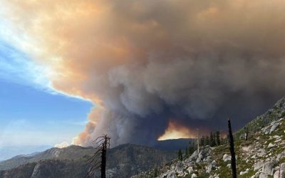 Orașul Centralia, o comunitate modernă situată în statul Pennsylvania, a devenit un loc abandonat, iar motivul este unul rar întâlnit: un foc subteran care nu poate fi stins și care a transformat întregul peisaj într-un morman de fum, abur și pericol