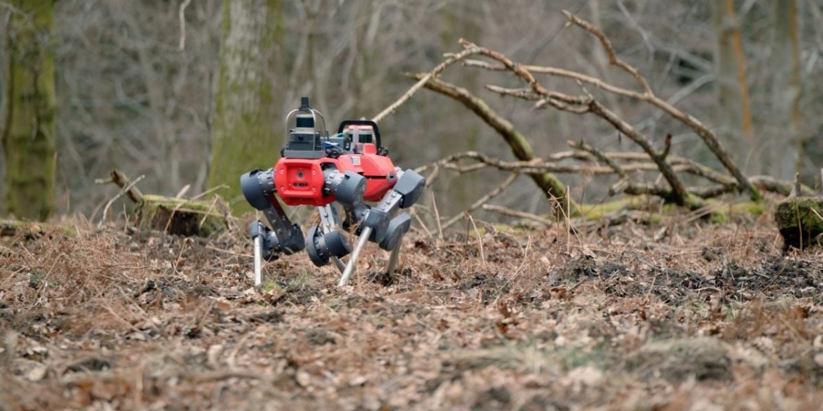 robotii-caini-care-scaneaza-padurile-defrisari.jpg - JurnalDirect