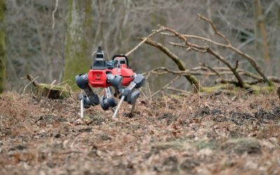 robotii-caini-care-scaneaza-padurile-defrisari.jpg - JurnalDirect