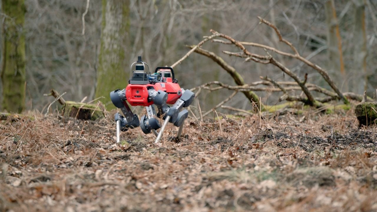 Roboții patrupede, asemănători unor câini mecanici, încep să își facă apariția în pădurile Europei, inclusiv în cele din Marea Britanie, reprezentând o inovație esențială în domeniul monitorizării și protecției mediului