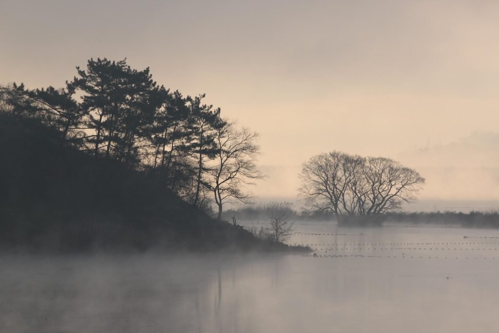 O comoară de secole ascunsă în mlaștini: misterul de dinainte de istorie Mlaștinile din nordul Germaniei au dezvăluit recent o colecție impresionantă de aproape 60 de cadavre, descoperiri arheologice care continuă să fascineze și să întoarcă pe dos istoria omenirii din epoca preistorică