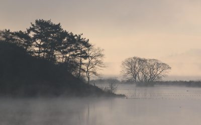 O comoară de secole ascunsă în mlaștini: misterul de dinainte de istorie Mlaștinile din nordul Germaniei au dezvăluit recent o colecție impresionantă de aproape 60 de cadavre, descoperiri arheologice care continuă să fascineze și să întoarcă pe dos istoria omenirii din epoca preistorică