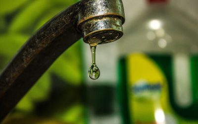 Creștere alarmantă a turbidității apei în zona Curtea de Argeș, în urma viiturii controlate a Barajului Vidraru Rezidenții din județul Argeș se confruntă pe zi ce trece cu probleme tot mai serioase legate de alimentarea cu apă potabilă, după ce o nouă creștere a turbidității a fost înregistrată în zona Curtea de Argeș