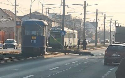 Primarul Aradului, Călin Bibarț, face un apel ferm către parlamentarii locali pentru ca legislația națională să fie modificată în vederea introducerii transportului public gratuit în municipiu