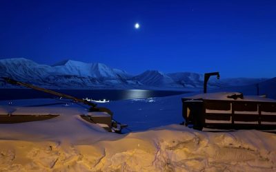 Viitorul memoriei și al istoriei se află într-o zonă de incertitudine, pe măsură ce tehnologia avansează rapid și vulnerabilitățile în domeniul digital se amplifică