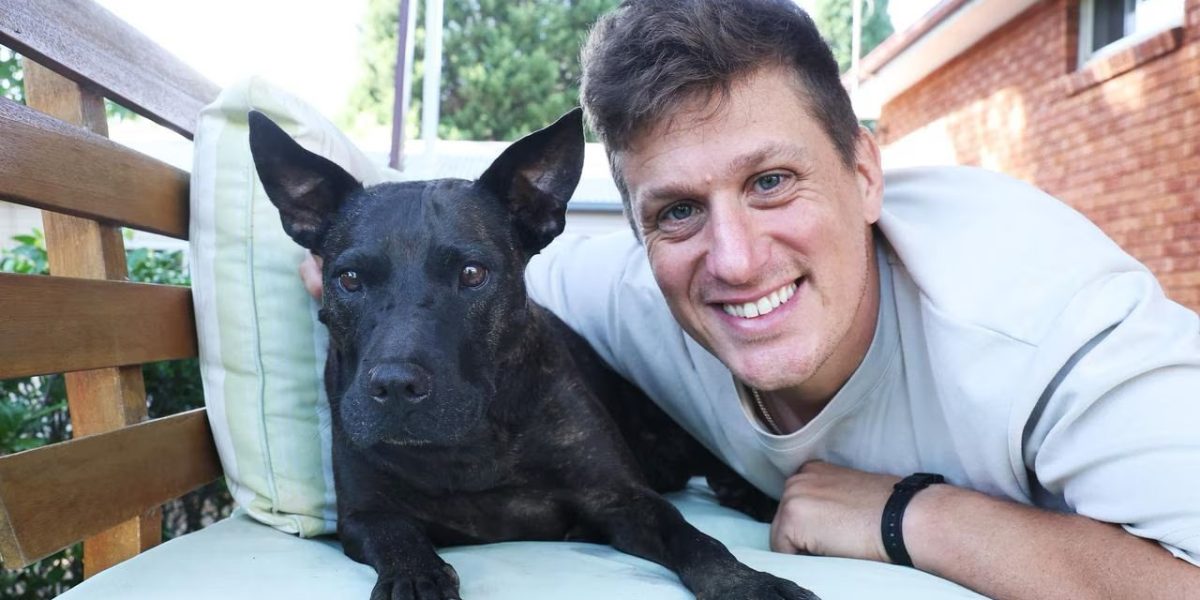 Antreprenor folosește AI pentru a salva câinele cu cancer din cauza costurilor mari