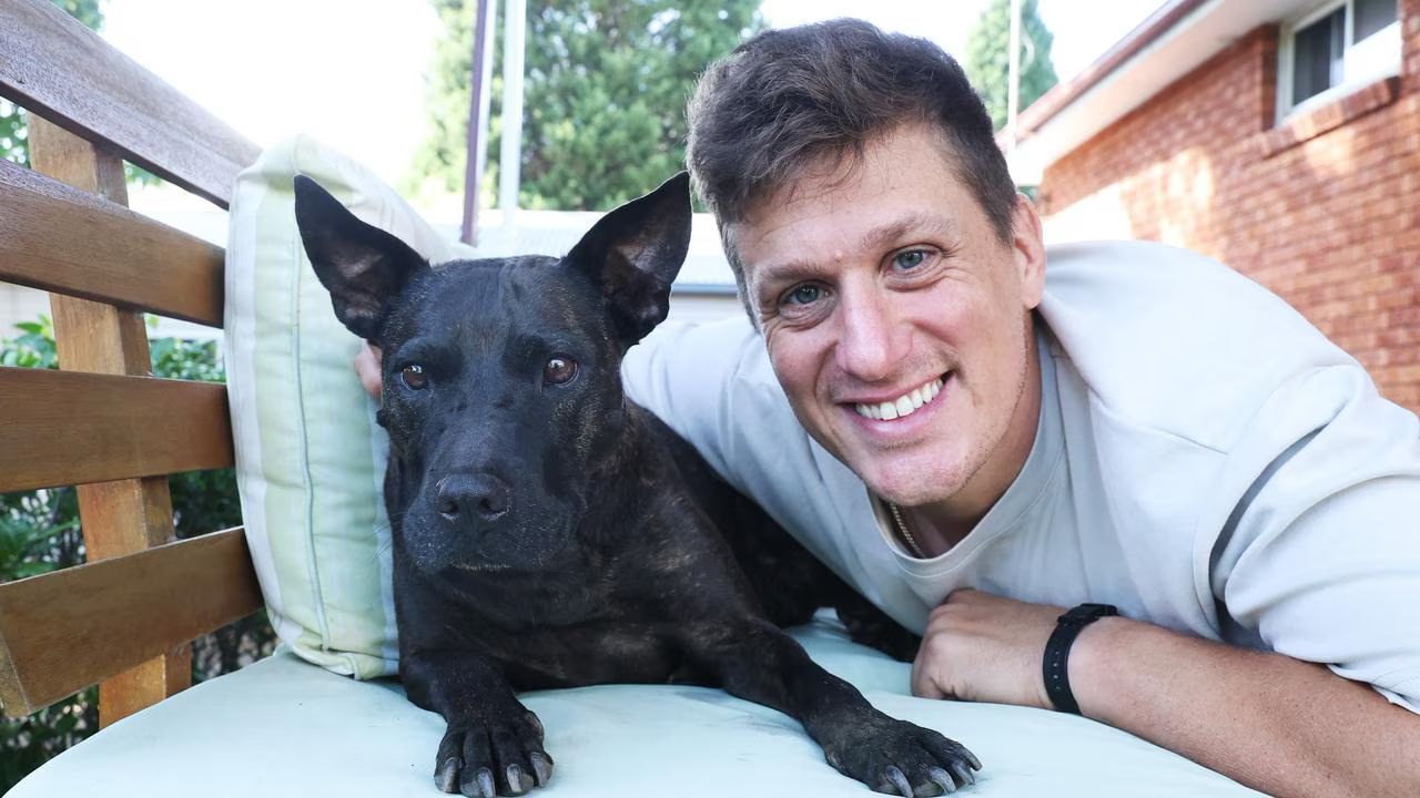Un antreprenor din Sydney, Paul Conyngham, cunoscut pentru experiența sa de peste 17 ani în domeniul machine learning și analiză de date, a utilizat tehnologii bazate pe inteligența artificială pentru a salva un câine diagnosticat cu cancer