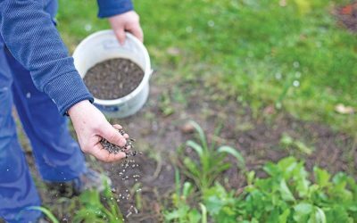 Producătorii de îngrășăminte anunță creșteri de costuri, alimentația, în 2026