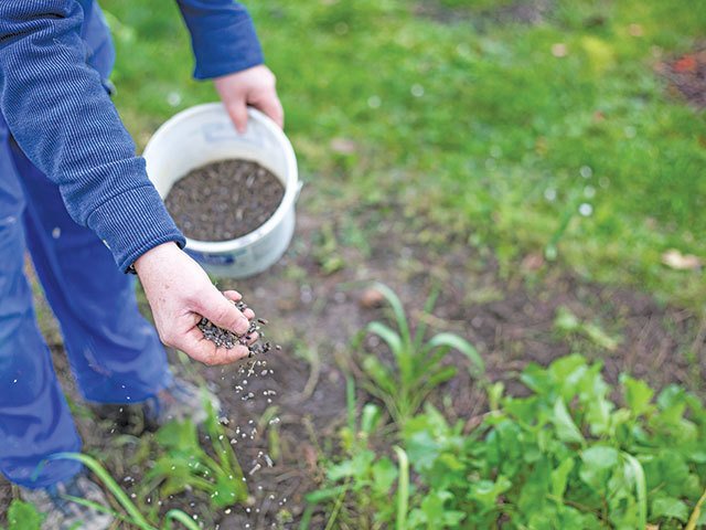 Producătorii de îngrășăminte anunță creșteri de costuri, alimentația, în 2026