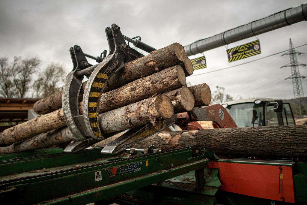 Ciocanul de marcat arbori a fost eliminat din uz