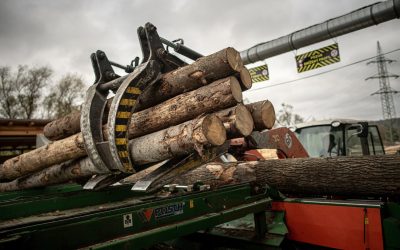 Ciocanul de marcat arbori a fost eliminat din uz