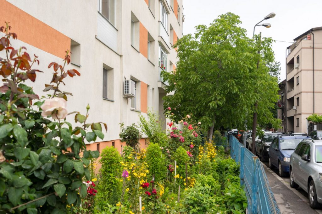 Întreținerea spațiilor verzi și curățenia din jurul blocurilor, responsabilitatea asociațiilor de proprietari, devine tot mai strict reglementată în contextul preocupărilor pentru siguranta și calitatea vieții locatarilor