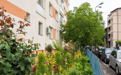 Întreținerea spațiilor verzi și curățenia din jurul blocurilor, responsabilitatea asociațiilor de proprietari, devine tot mai strict reglementată în contextul preocupărilor pentru siguranta și calitatea vieții locatarilor