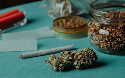 Drogurile recreaționale, un pericol pentru sănătate mai mare decât se credea anterior, au fost în centrul unei cercetări ample care arată că anumite substanțe pot dubla riscul de a suferi un accident vascular cerebral (AVC)