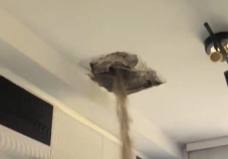 Un moment banal s-a transformat brusc într-o experiență de neuitat pentru un tânăr dintr-un cartier suburban, după ce a fost martor la o scenă extrem de neașteptată chiar în propria sa baie