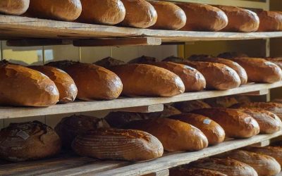 Prețul pâinii în România s-ar putea scumpi cu aproape 40% până în 2026, în condițiile în care costurile pentru energie și materii prime suferă creșteri semnificative