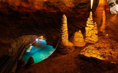 Cele mai vechi peșteri din lume, descoperite în Australia, au o vârstă impresionantă de peste 340 de milioane de ani, fiind mult înainte de apariția dinozaurilor