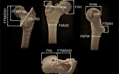 Un nou capitol în înțelegerea originilor noastre umane: cercetări recente sugerează că cel mai vechi strămoș al oamenilor ar fi putut trăi în Europa, mai precis în zona Balcanilor, și nu în Africa, așa cum s-a crezut până acum