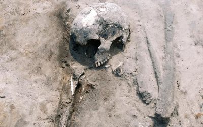 Descoperire arheologică inedită în Polonia: gene vechi de 3.000 de ani deschid o fereastră spre societățile preistorice de la marginea Europei Centrale O echipă internațională de arheologi și cercetători în științe umane a realizat o analiză revoluționară asupra adaptabilității și modului de viață al comunităților preistorice din nord-centrul Poloniei, folosind tehnici moderne de investigare genetică și antropologică
