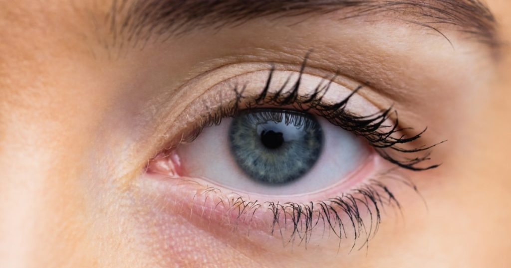 O descoperire promițătoare în domeniul chirurgiei oculare: o cornee artificială realizată din solzi de pește, o alternativă mai accesibilă și mai sigură pentru pacienții cu boli severe ale ochiului, a fost dezvoltată de cercetători din cadrul Universității din Granada