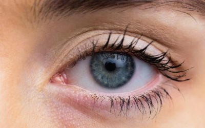 O descoperire promițătoare în domeniul chirurgiei oculare: o cornee artificială realizată din solzi de pește, o alternativă mai accesibilă și mai sigură pentru pacienții cu boli severe ale ochiului, a fost dezvoltată de cercetători din cadrul Universității din Granada