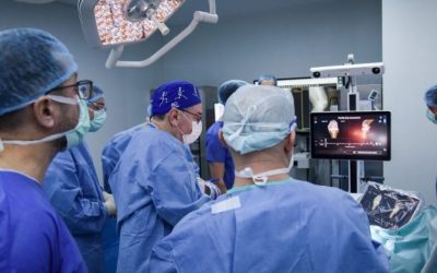 Vitalitatea și mobilitatea persoanelor în vârstă sunt din ce în ce mai mult puse la încercare de afecțiuni ortopedice precum gonartroza, o degenerare progresivă a articulației genunchiului