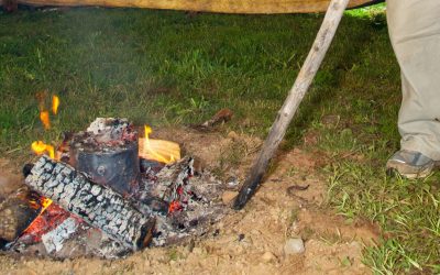 Neanderthalienii foloseau gudronul de mesteacăn ca un adevărat antibiotic al epocii preistorice Descoperit în situri arheologice vechi de peste 180.000 de ani, gudronul de mesteacăn se povestește că nu era doar un adeziv sau un simplu material de întărire