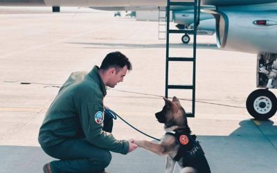 Tragedie la Baza 86 Aeriană „Locotenent Aviator Gheorghe Mociorniță” din Borcea: un militar a pierit în timpul unei intervenții Salvatorul din Marea Militară Română a pierit în misiune de salvare O tragedie neașteptată a zguduit recent cadrul militar din România, fracturând rutina obișnuită a bazei aeriene din Borcea