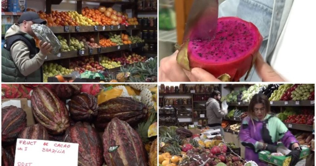 Într-un sat liniștit din județul Iași, o familie a reușit să transforme tradiționalul agricol într-o afacere inedită, profitând de trendul ascendent al fructelor exotice în România