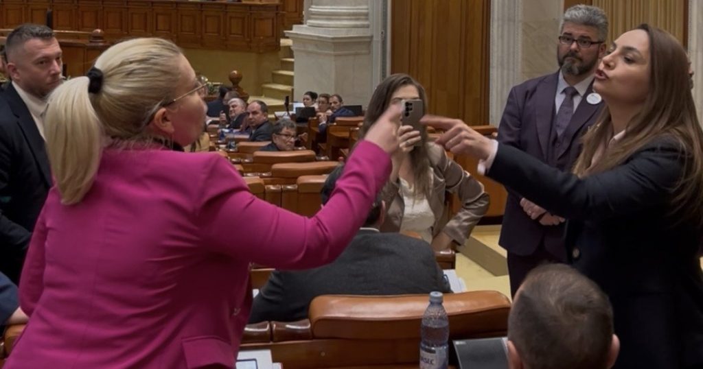 Anamaria Gavrilă îi atrage atenția colegei în plen: „Nu vorbești tu în numele POT”
