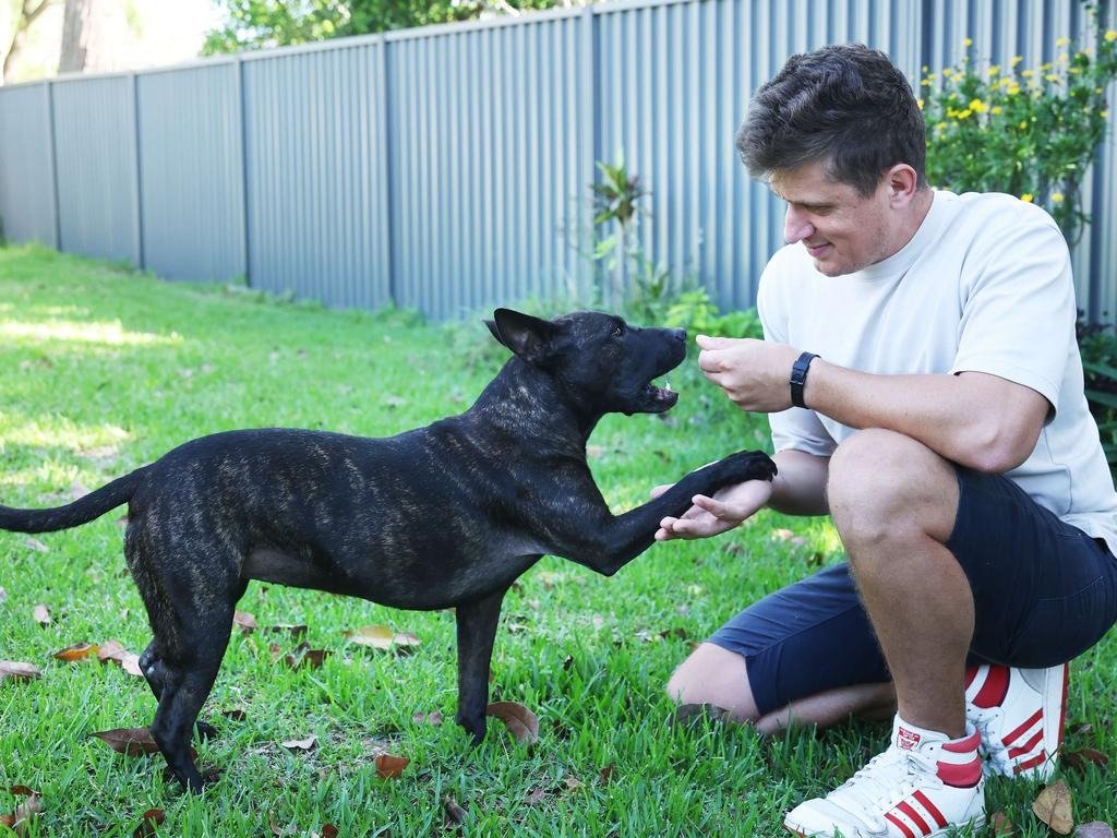 Un caz revoluționar în domeniul medicinei veterinare și al cercetării genetice a stârnit recent interesul comunității științifice internaționale: un câine a beneficiat de un tratament personalizat bazat pe inteligența artificială, obținând o îmbunătățire semnificativă a calității vieții